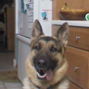 Meet your Posher, Kathryn